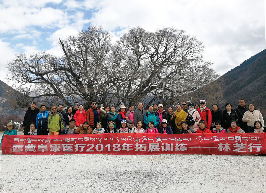 开yun体育官网入口登录app下载2018年拓展訓練——增強團隊凝聚力、提升團隊協作能力，更好地為患者服務